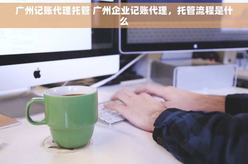 广州记账代理托管 广州企业记账代理，托管流程是什么