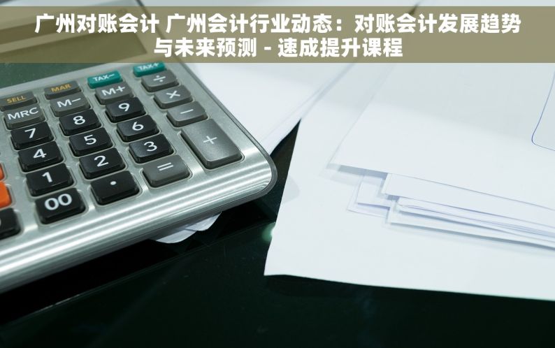 广州对账会计 广州会计行业动态：对账会计发展趋势与未来预测 - 速成提升课程