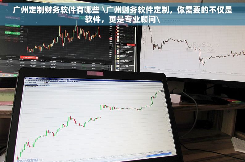 广州定制财务软件有哪些 \广州财务软件定制，你需要的不仅是软件，更是专业顾问\