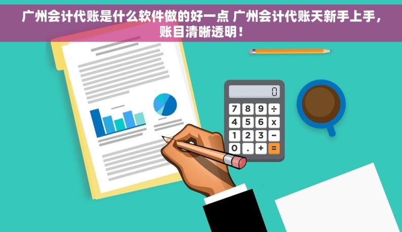 广州会计代账是什么软件做的好一点 广州会计代账天新手上手，账目清晰透明！