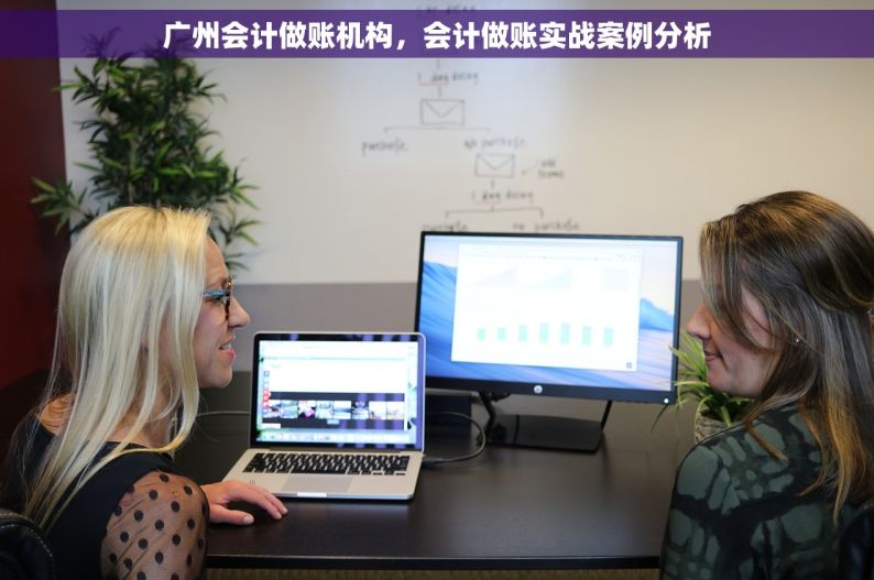广州会计做账机构，会计做账实战案例分析