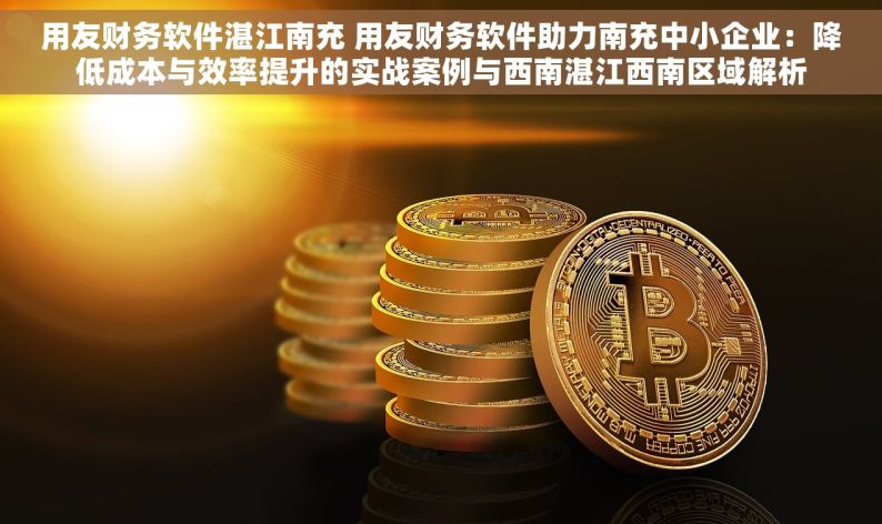 用友财务软件湛江南充 用友财务软件助力南充中小企业：降低成本与效率提升的实战案例与西南湛江西南区域解析