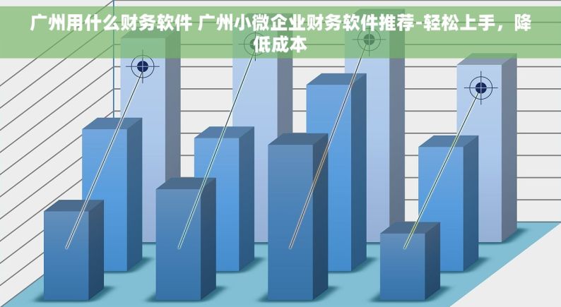 广州用什么财务软件 广州小微企业财务软件推荐-轻松上手，降低成本