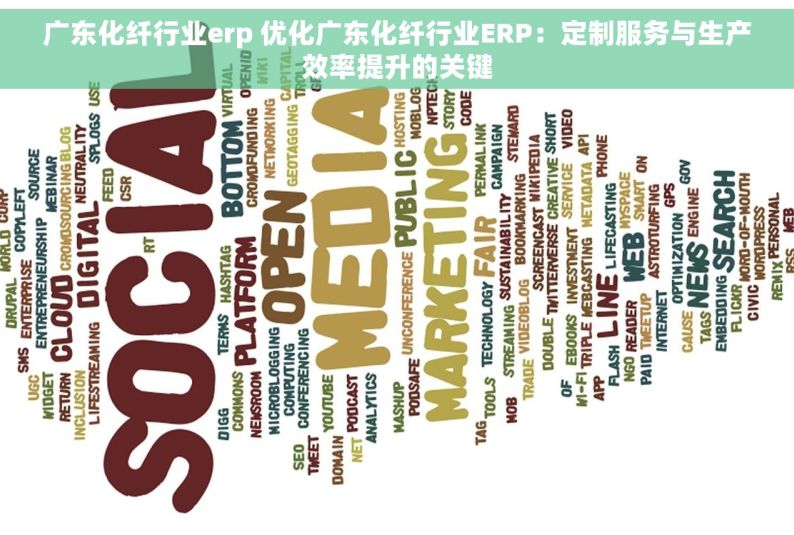 广东化纤行业erp 优化广东化纤行业ERP：定制服务与生产效率提升的关键
