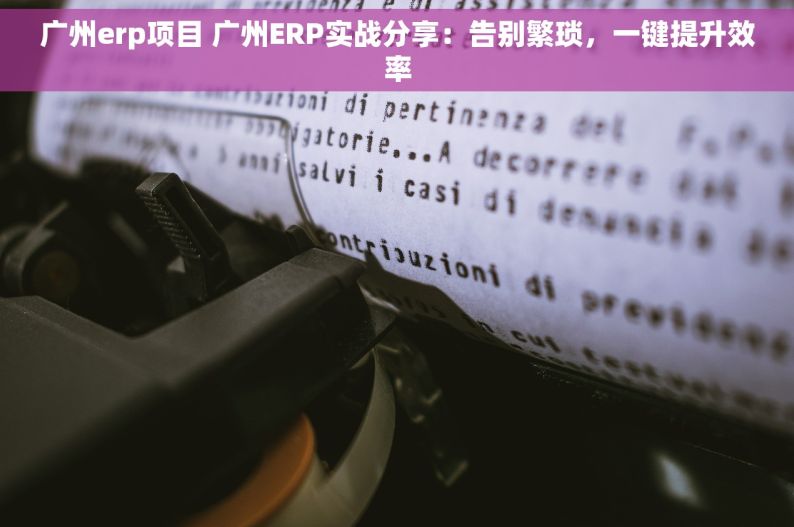 广州erp项目 广州ERP实战分享：告别繁琐，一键提升效率