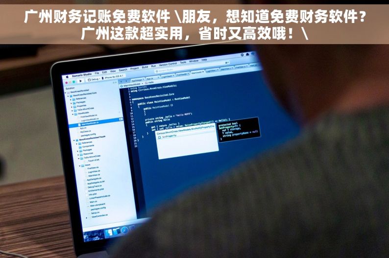 广州财务记账免费软件 \朋友，想知道免费财务软件？广州这款超实用，省时又高效哦！\