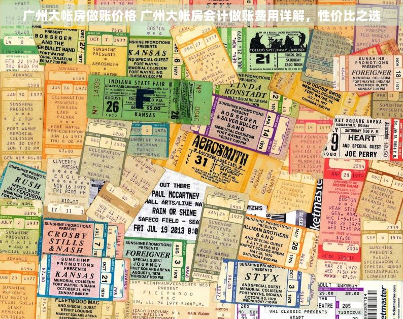 广州大帐房做账价格 广州大帐房会计做账费用详解，性价比之选