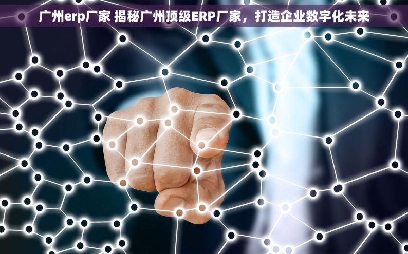 广州erp厂家 揭秘广州顶级ERP厂家，打造企业数字化未来