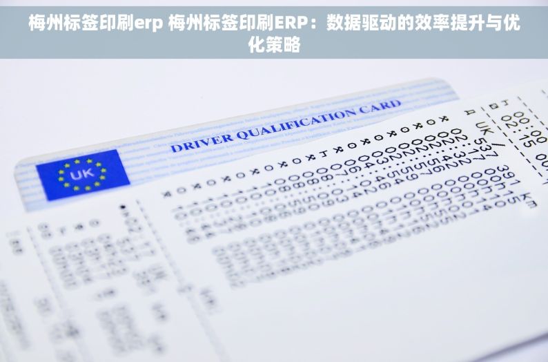 梅州标签印刷erp 梅州标签印刷ERP：数据驱动的效率提升与优化策略