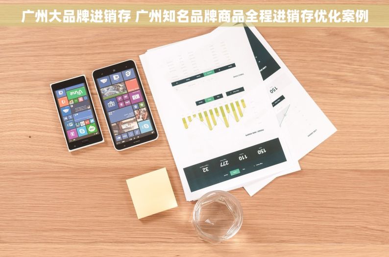 广州大品牌进销存 广州知名品牌商品全程进销存优化案例