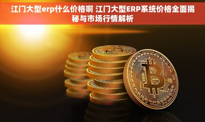 江门大型erp什么价格啊 江门大型ERP系统价格全面揭秘与市场行情解析