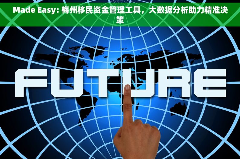 Made Easy: 梅州移民资金管理工具，大数据分析助力精准决策