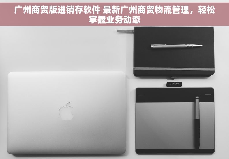 广州商贸版进销存软件 最新广州商贸物流管理，轻松掌握业务动态
