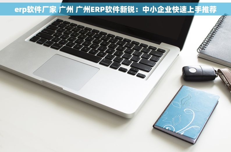 erp软件厂家 广州 广州ERP软件新锐：中小企业快速上手推荐