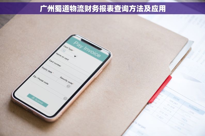 广州蜀道物流财务报表查询方法及应用