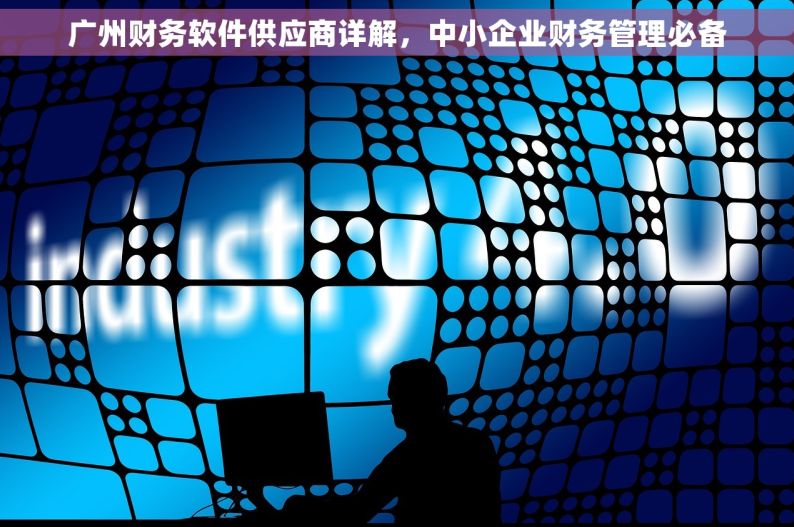 广州财务软件供应商详解，中小企业财务管理必备