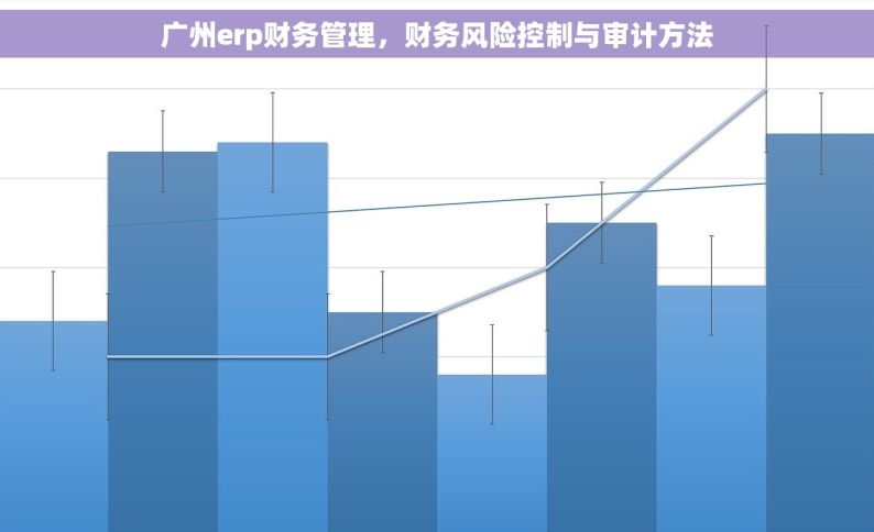 广州erp财务管理，财务风险控制与审计方法