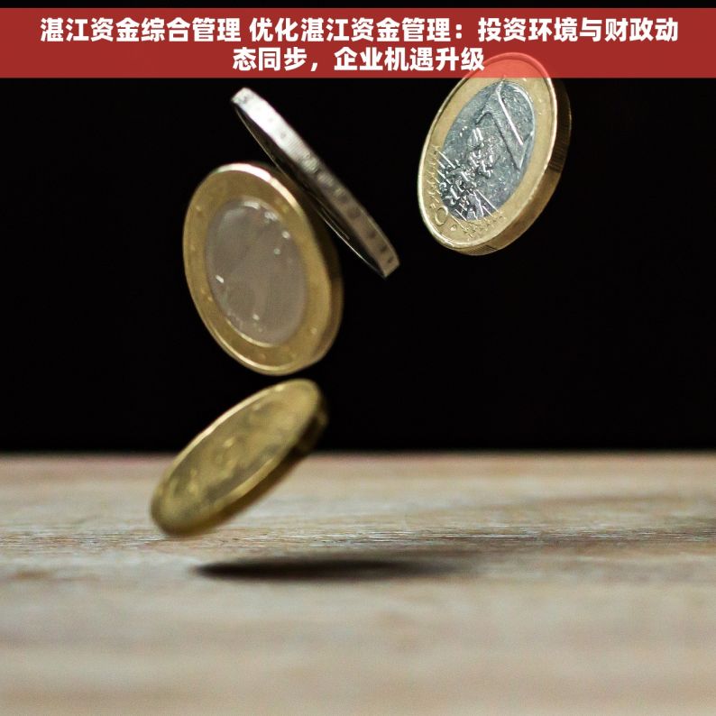 湛江资金综合管理 优化湛江资金管理：投资环境与财政动态同步，企业机遇升级