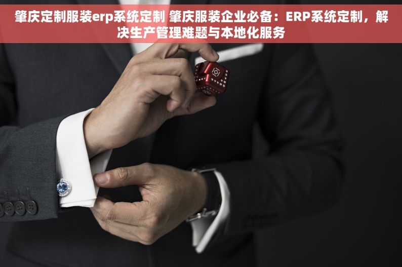 肇庆定制服装erp系统定制 肇庆服装企业必备：ERP系统定制，解决生产管理难题与本地化服务