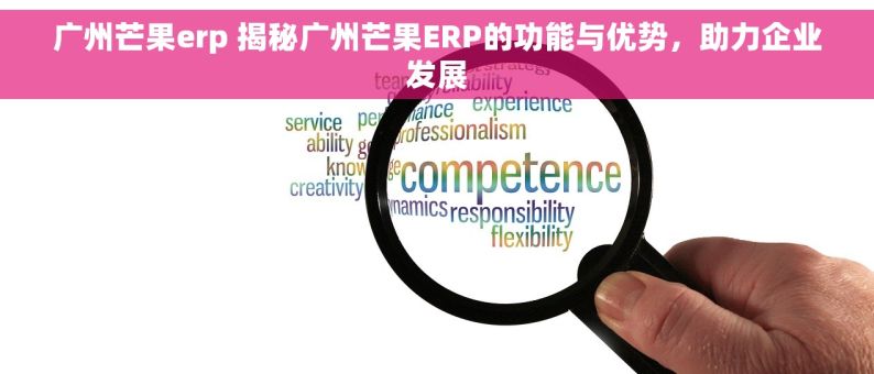 广州芒果erp 揭秘广州芒果ERP的功能与优势，助力企业发展