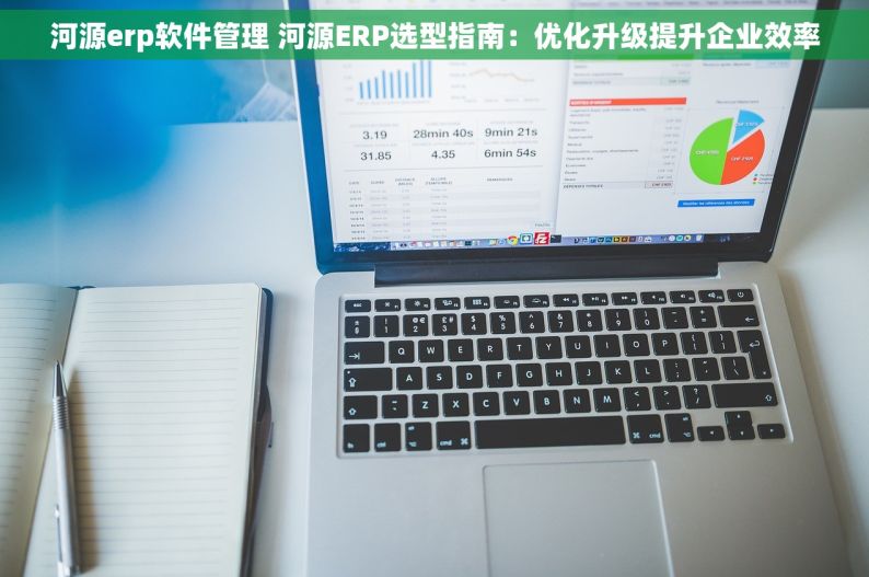 河源erp软件管理 河源ERP选型指南：优化升级提升企业效率