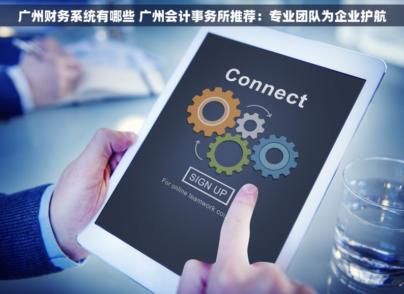广州财务系统有哪些 广州会计事务所推荐：专业团队为企业护航