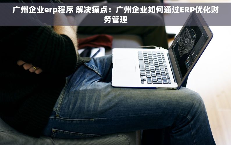 广州企业erp程序 解决痛点：广州企业如何通过ERP优化财务管理