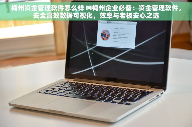 梅州资金管理软件怎么样 M梅州企业必备：资金管理软件，安全高效数据可视化，效率与老板安心之选