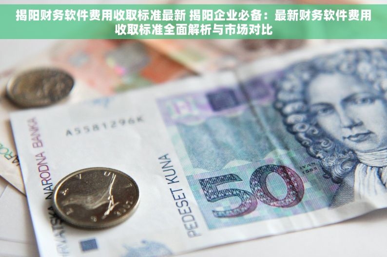 揭阳财务软件费用收取标准最新 揭阳企业必备：最新财务软件费用收取标准全面解析与市场对比