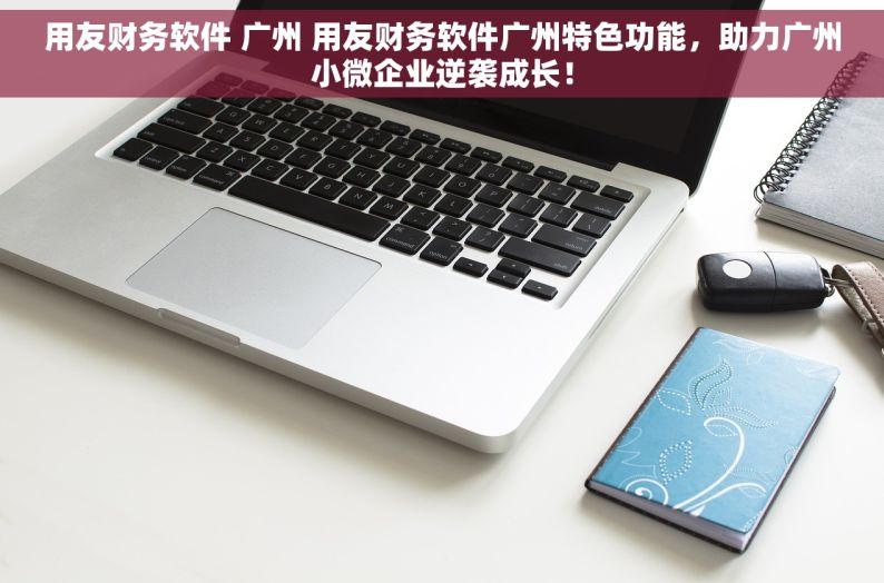 用友财务软件 广州 用友财务软件广州特色功能，助力广州小微企业逆袭成长！