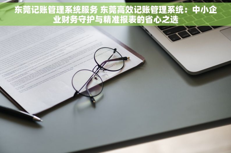 东莞记账管理系统服务 东莞高效记账管理系统：中小企业财务守护与精准报表的省心之选