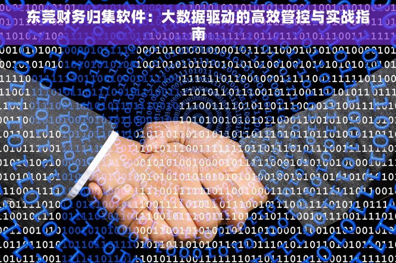 东莞财务归集软件：大数据驱动的高效管控与实战指南