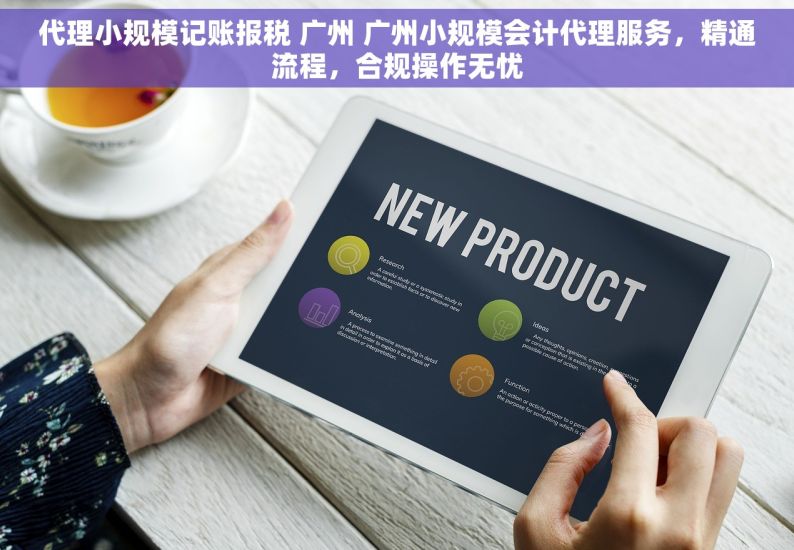 代理小规模记账报税 广州 广州小规模会计代理服务，精通流程，合规操作无忧
