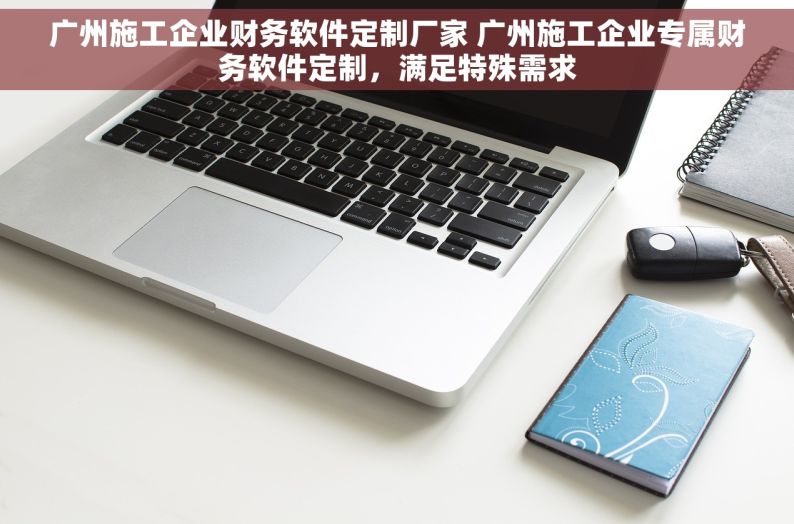 广州施工企业财务软件定制厂家 广州施工企业专属财务软件定制，满足特殊需求