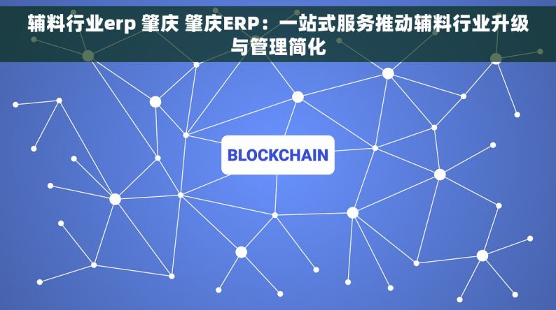 辅料行业erp 肇庆 肇庆ERP：一站式服务推动辅料行业升级与管理简化