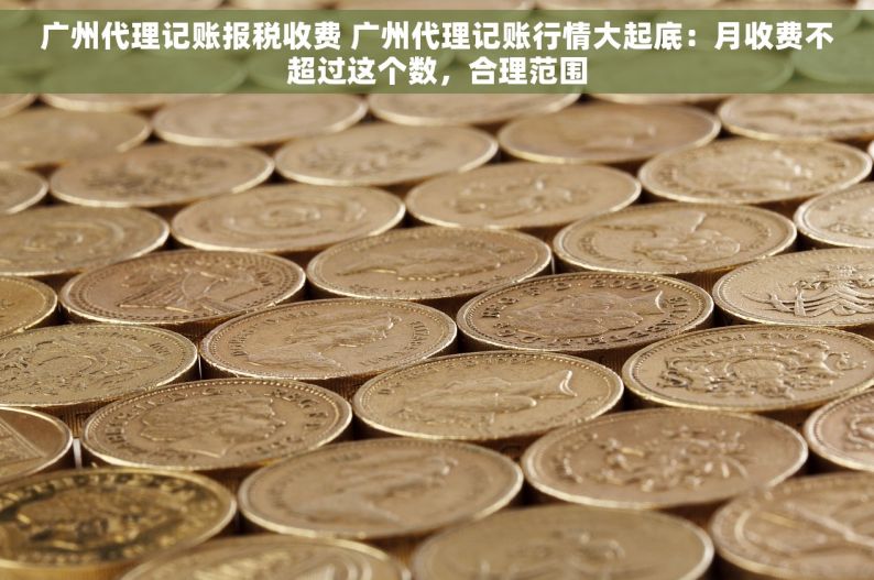 广州代理记账报税收费 广州代理记账行情大起底：月收费不超过这个数，合理范围