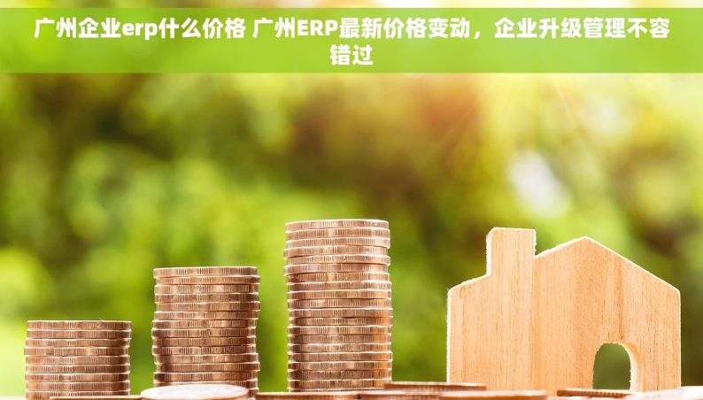 广州企业erp什么价格 广州ERP最新价格变动，企业升级管理不容错过
