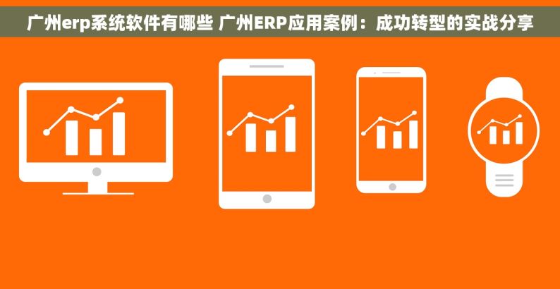 广州erp系统软件有哪些 广州ERP应用案例：成功转型的实战分享