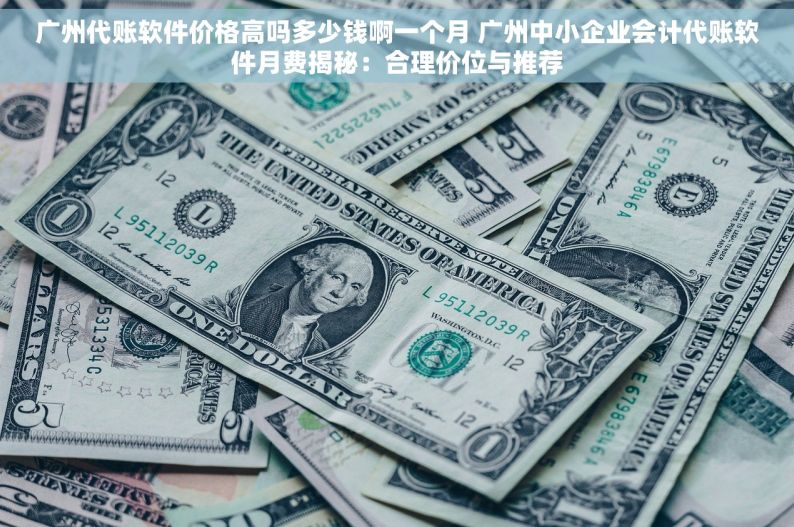 广州代账软件价格高吗多少钱啊一个月 广州中小企业会计代账软件月费揭秘：合理价位与推荐