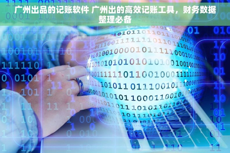 广州出品的记账软件 广州出的高效记账工具，财务数据整理必备