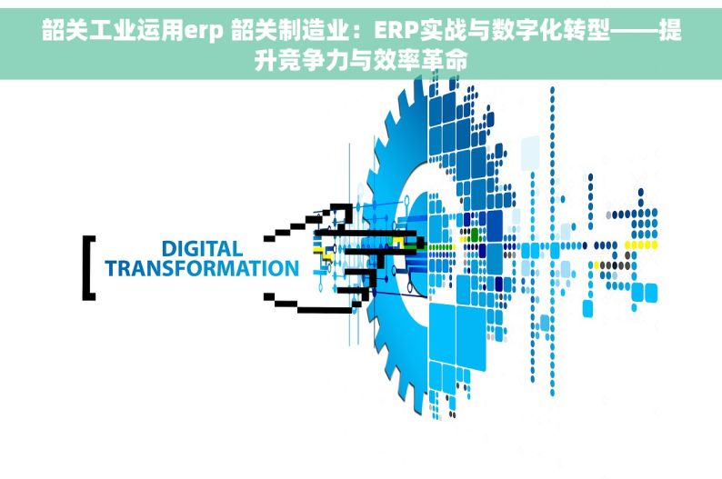 韶关工业运用erp 韶关制造业：ERP实战与数字化转型——提升竞争力与效率革命