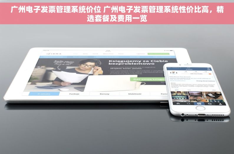 广州电子发票管理系统价位 广州电子发票管理系统性价比高，精选套餐及费用一览
