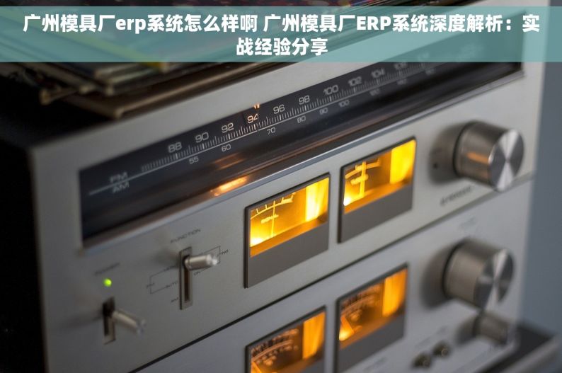 广州模具厂erp系统怎么样啊 广州模具厂ERP系统深度解析：实战经验分享