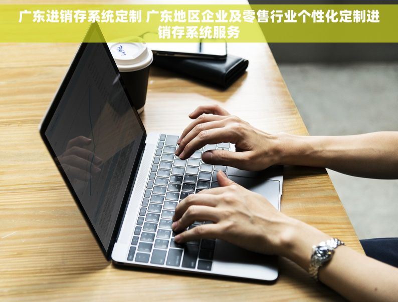 广东进销存系统定制 广东地区企业及零售行业个性化定制进销存系统服务