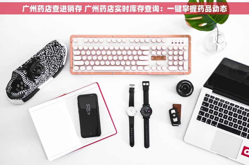 广州药店查进销存 广州药店实时库存查询：一键掌握药品动态