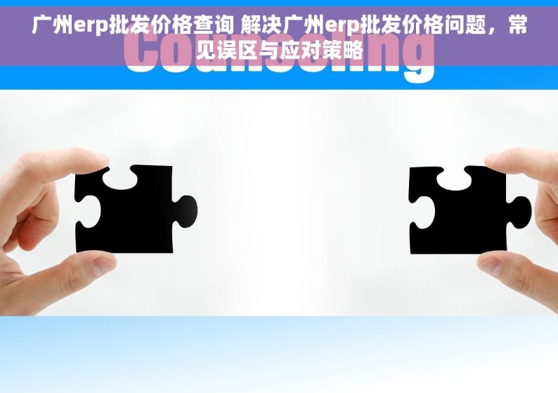 广州erp批发价格查询 解决广州erp批发价格问题，常见误区与应对策略