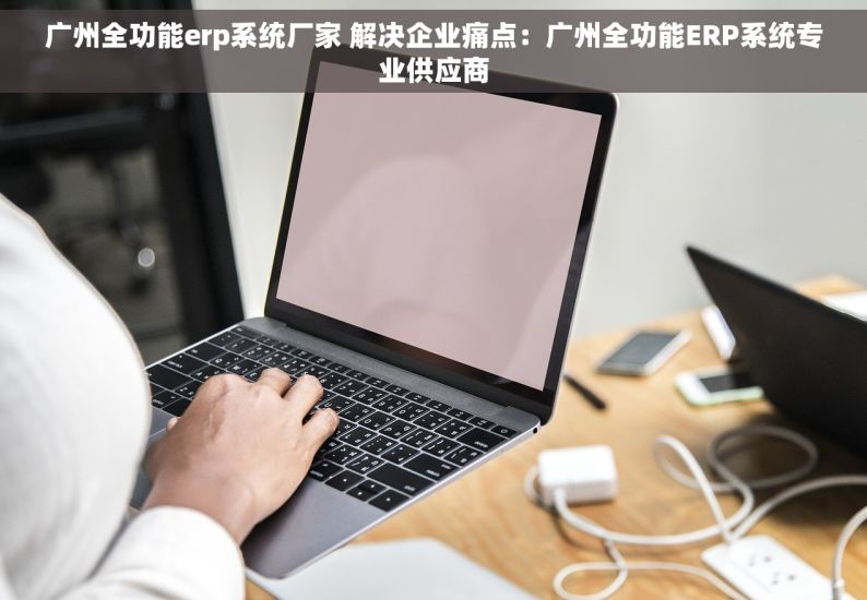广州全功能erp系统厂家 解决企业痛点：广州全功能ERP系统专业供应商