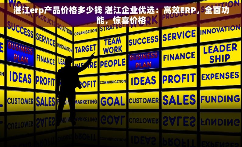 湛江erp产品价格多少钱 湛江企业优选：高效ERP，全面功能，惊喜价格