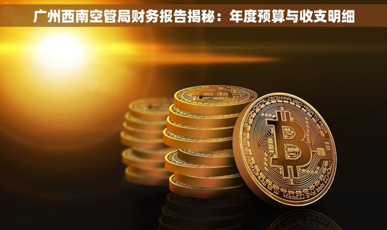 广州西南空管局财务报告揭秘：年度预算与收支明细
