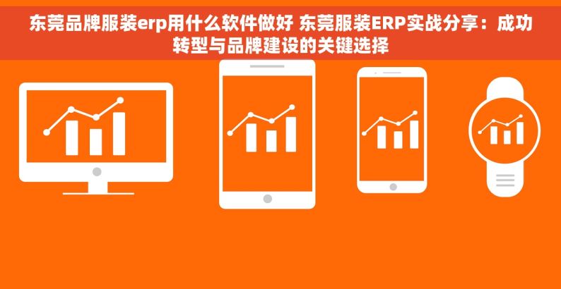 东莞品牌服装erp用什么软件做好 东莞服装ERP实战分享：成功转型与品牌建设的关键选择